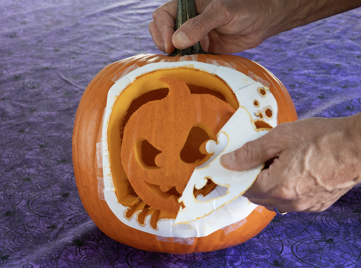 Peeling the pattern off a freshly carved pumpkin